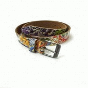 Cowboysbelt
